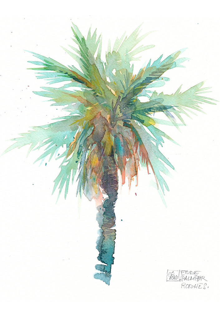 The palm tree